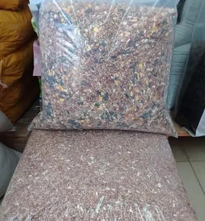 Зоомагазин ДАЛИ ЗОО Нови Пазар