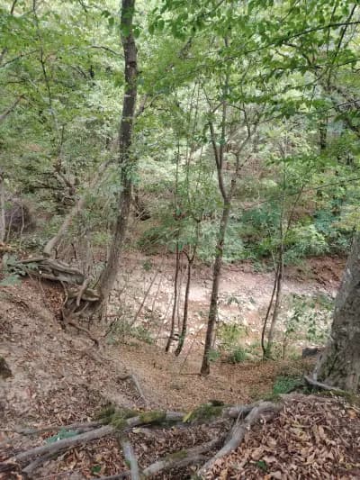 Водопад скокът