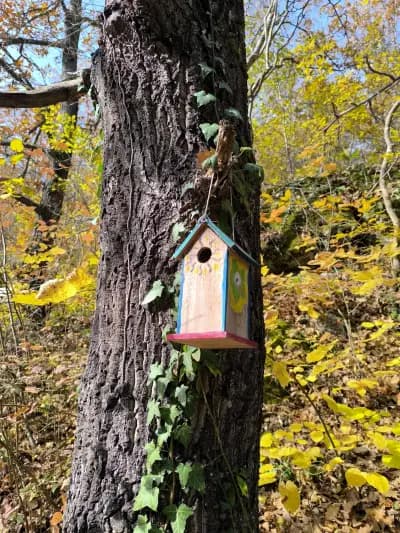 Водопад скокът