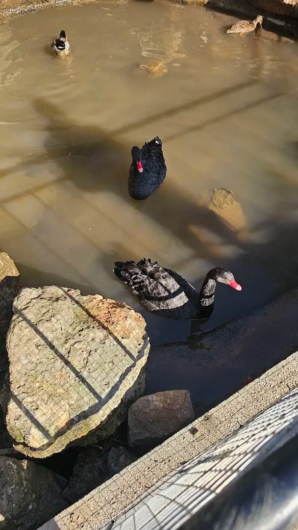 Радомирски Водопад "Бучалото"