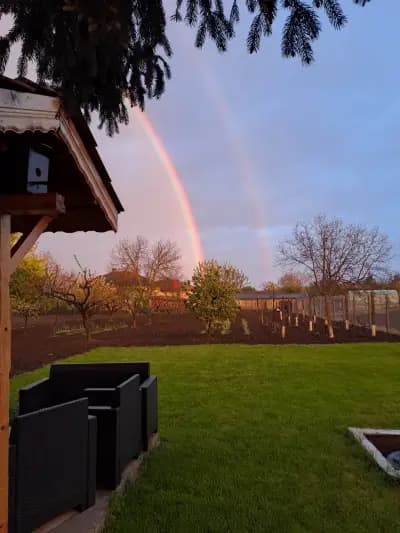 Строителни материали и железария