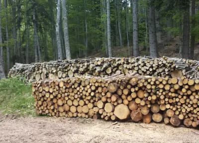 Пътна Помощ Смолян | услуги с кран Смолян | дърва за огрев Смолян | пелети за огрев Смолян | Норбис 71 ЕООД