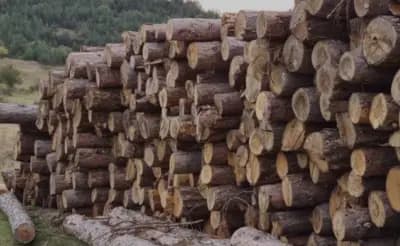 Пътна Помощ Смолян | услуги с кран Смолян | дърва за огрев Смолян | пелети за огрев Смолян | Норбис 71 ЕООД