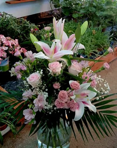 Магазин за цветя Mira Fiori Троян