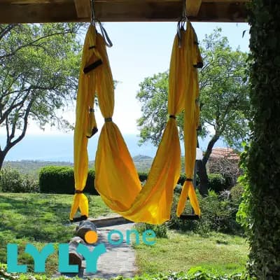 lyly.one