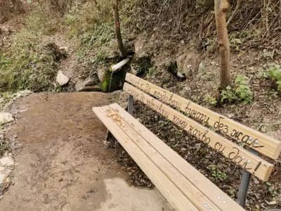 минерален извор Топлика