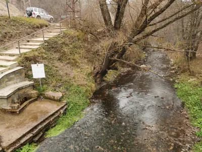 минерален извор Топлика