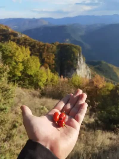 Панорамна площадка "Марциганица"