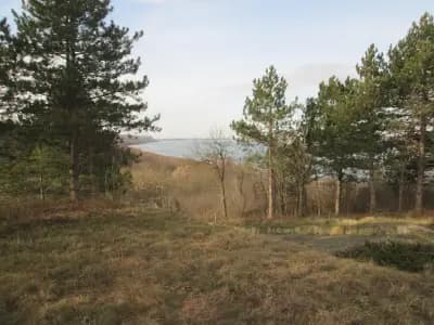 Паметник на победата при Свищов