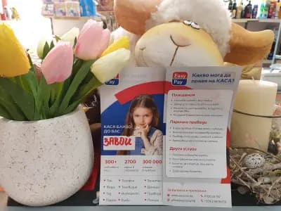 Easypay ДИКОН 2010