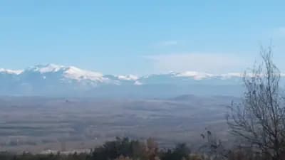 Д-р Даниела Игнатова