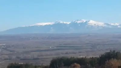 Д-р Даниела Игнатова