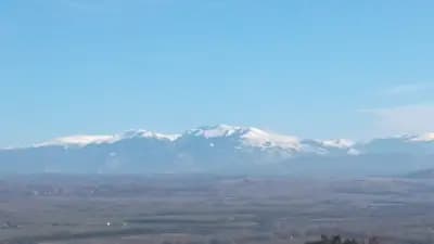 Д-р Даниела Игнатова