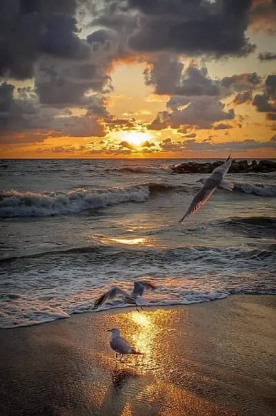 Плажен бар „Барака“