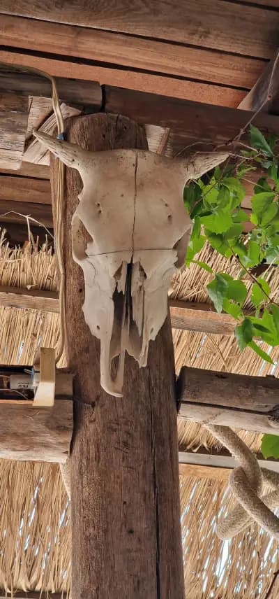 Кръчмата на Маслен нос