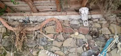 Кръчмата на Маслен нос