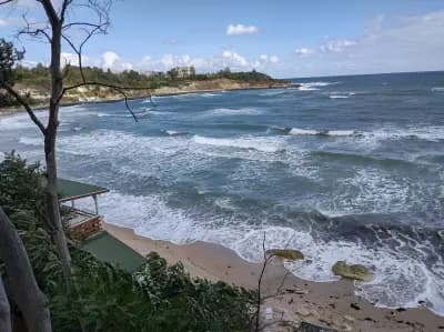 Бистро Плажа