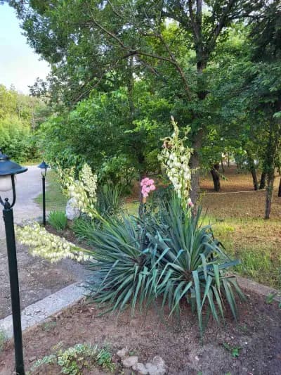 „Слънчева Перла“