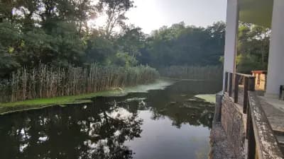 Батова река