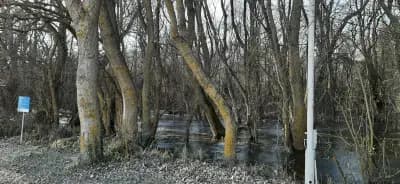 Батова река