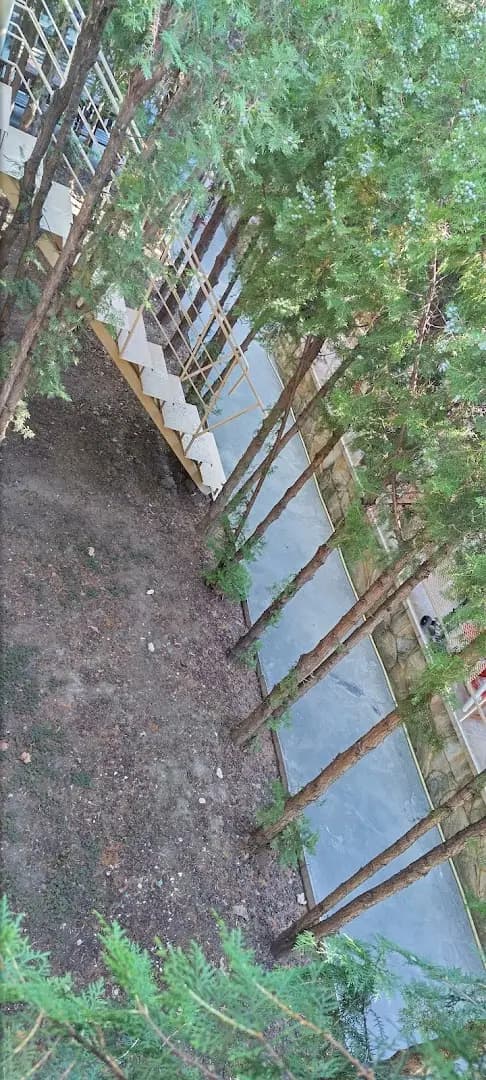 Вили Бийчхаус