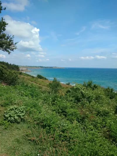 Бунгала Македонка