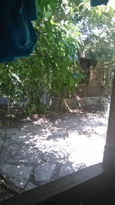 Бунгала Македонка