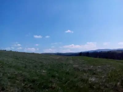 Алински манастир”Свети Спас”