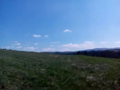 Алински манастир ”Свети Спас”