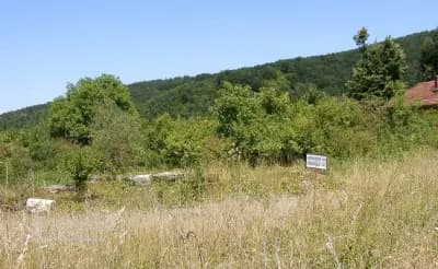 Раннохристиянската базилика "Свети Георги”