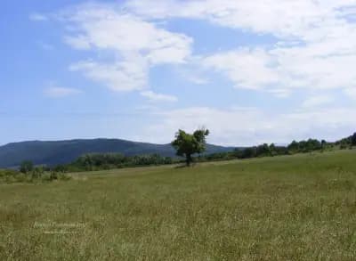 Раннохристиянската базилика "Свети Георги”