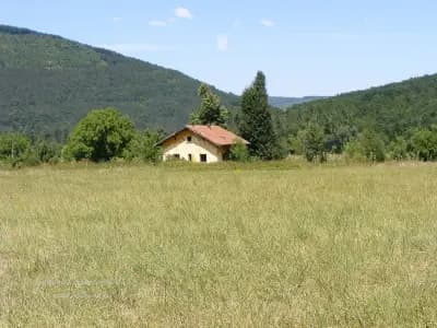 Раннохристиянската базилика "Свети Георги”