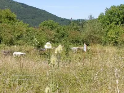 Раннохристиянската базилика "Свети Георги”