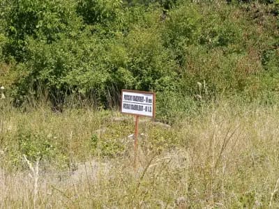 Раннохристиянската базилика "Свети Георги”