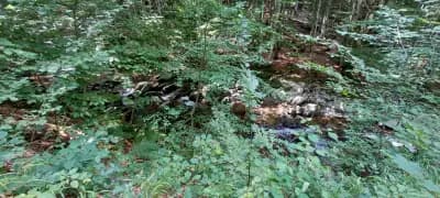 еко пътека "Видимско пръскало"