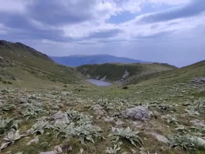 връх Голям Купен (2169 m)