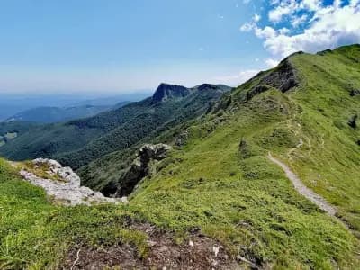 Козя стена