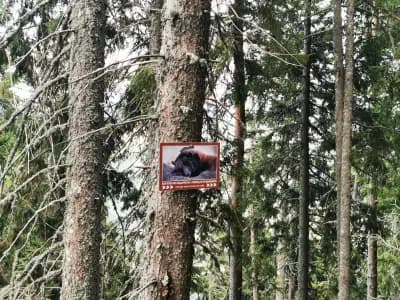 Екопътека "Червена скала"