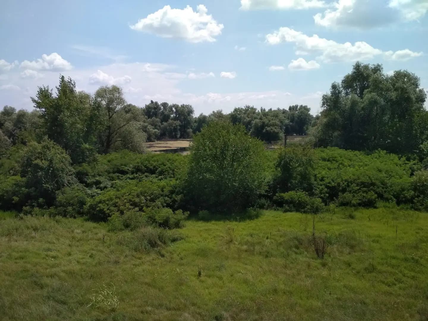 Лагер „Белене“