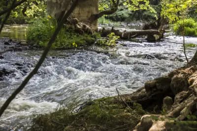 Железният мост към крепостта