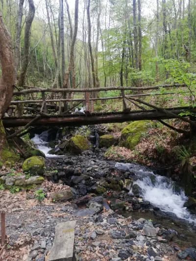 Водопад Мангъро