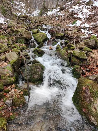 Водопад Мангъро