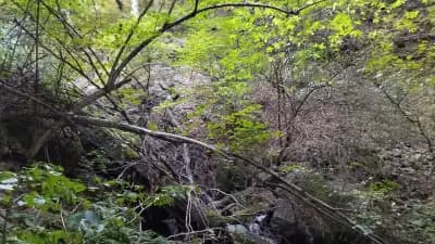 Водопад Мангъро