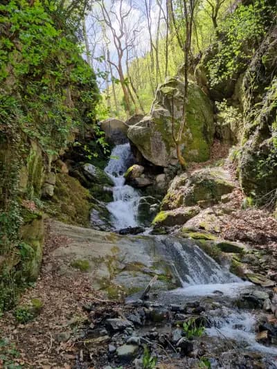 Яворнишки водопад