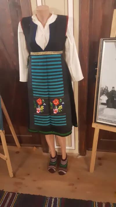 Къща Райно Попович, учител и книжовник