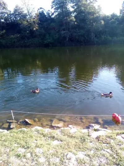 Езеро Парк Рила