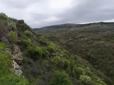 Крепост „Раховец“