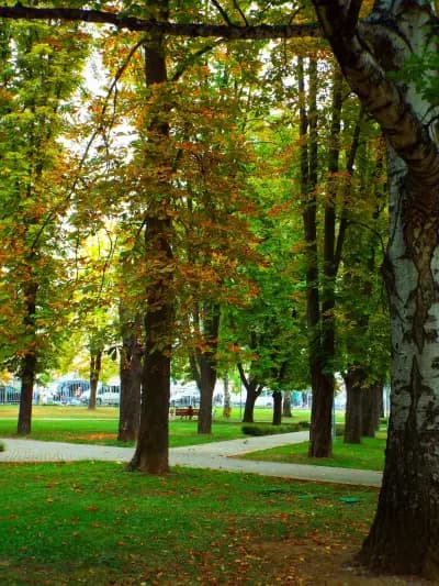 Парк „Огоста“