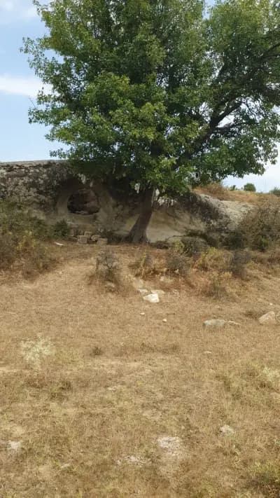 Дупчен камък