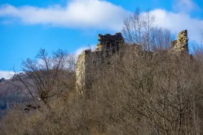 Крепост „Кривус“